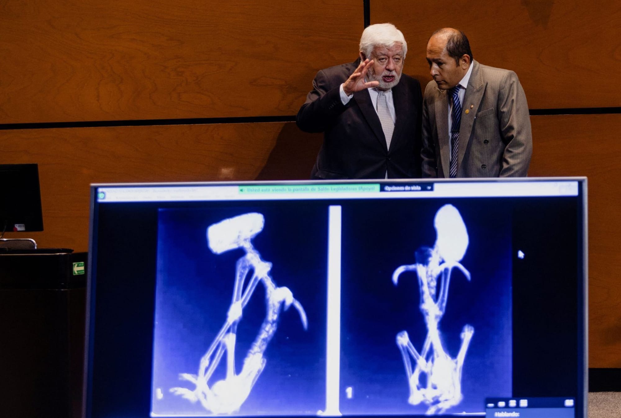 Mexican Congress holds second UFO session featuring Peruvian mummies