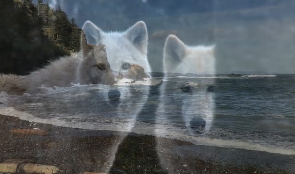 Finding Convergence with your Abilities